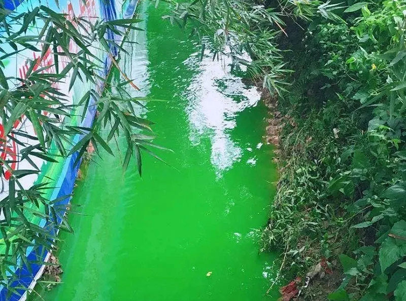 触目惊心!水全都“染绿”了!多家企业被查处! 触目惊心!水全都“染绿”了!多家企业被查处!