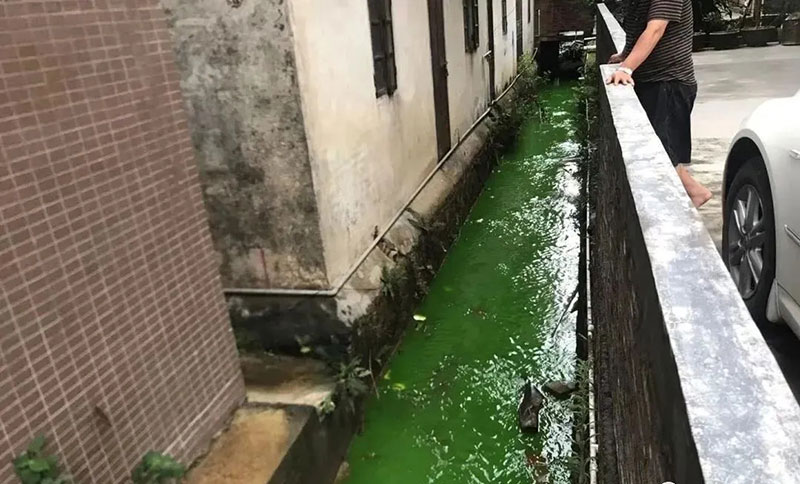 触目惊心!水全都“染绿”了!多家企业被查处! 触目惊心!水全都“染绿”了!多家企业被查处!
