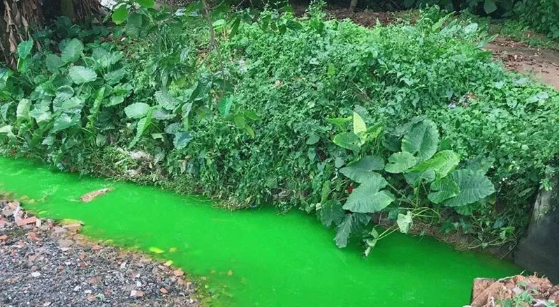 触目惊心!水全都“染绿”了!多家企业被查处! 触目惊心!水全都“染绿”了!多家企业被查处!